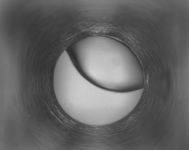X0000084551396200702230922