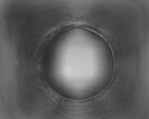 X0000084551398200702230922