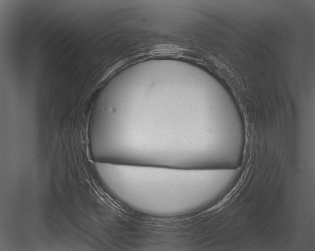X0000084551401200702230922