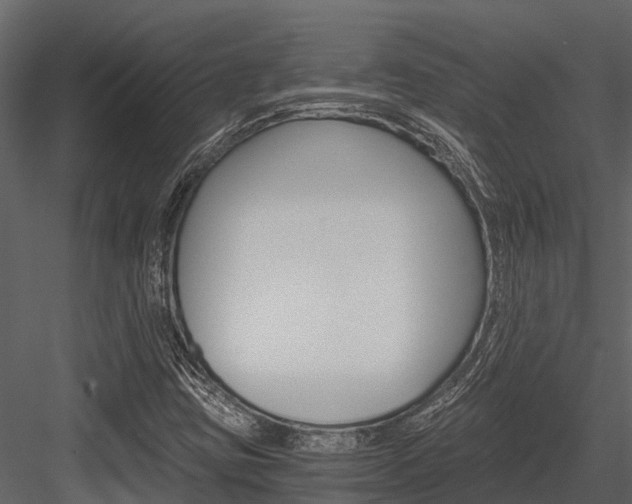 X0000084551403200702230923