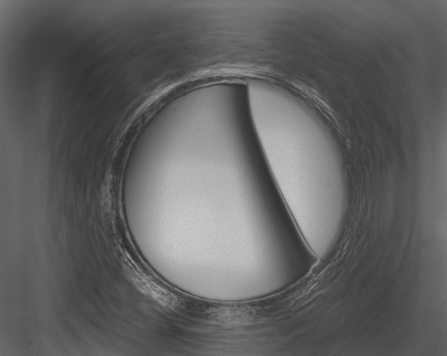 X0000084551404200702230923