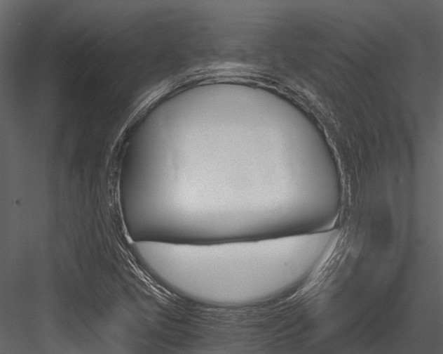 X0000084551405200702230923