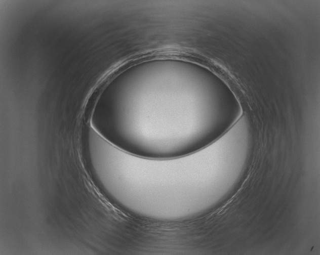 X0000084551410200702230923
