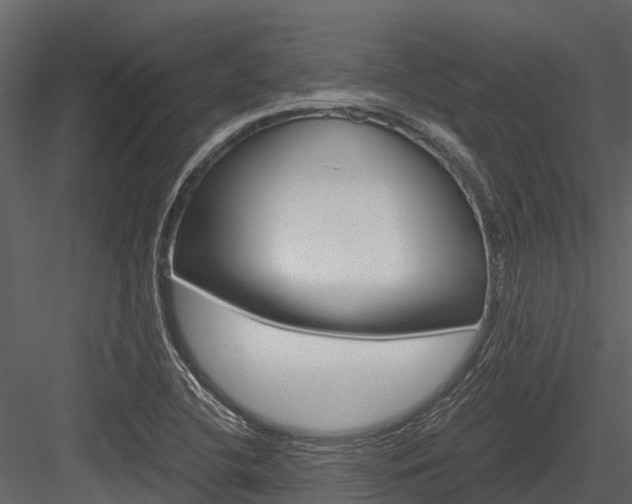 X0000084551412200702230923
