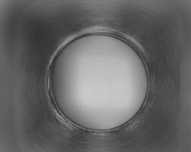 X0000084551413200702230923