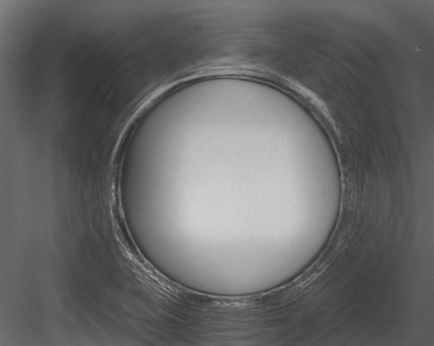 X0000084551415200702230923