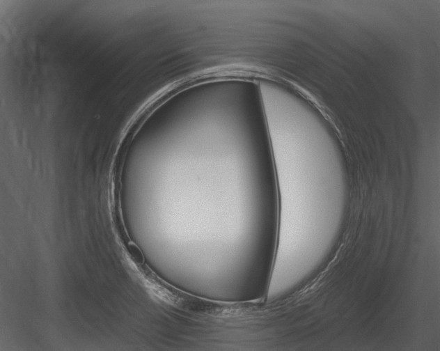 X0000084551418200702230923