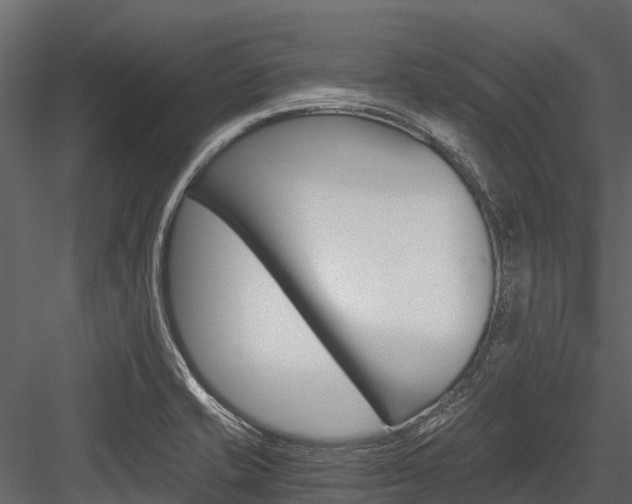 X0000084551421200702230923