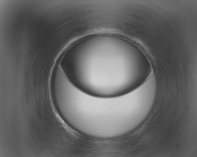 X0000084551422200702230923