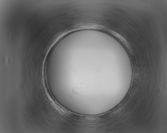 X0000084551423200702230923