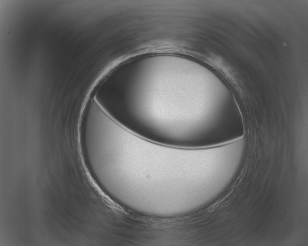 X0000084551424200702230923