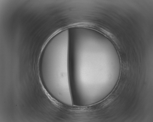 X0000084551426200702230923