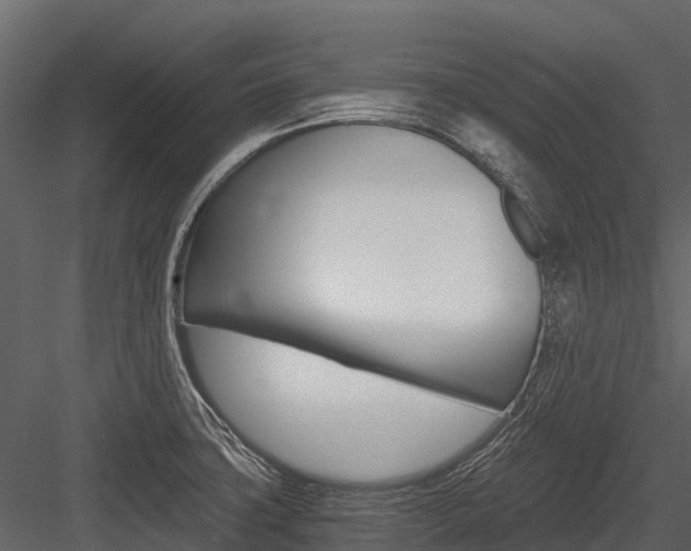 X0000084551427200702230923