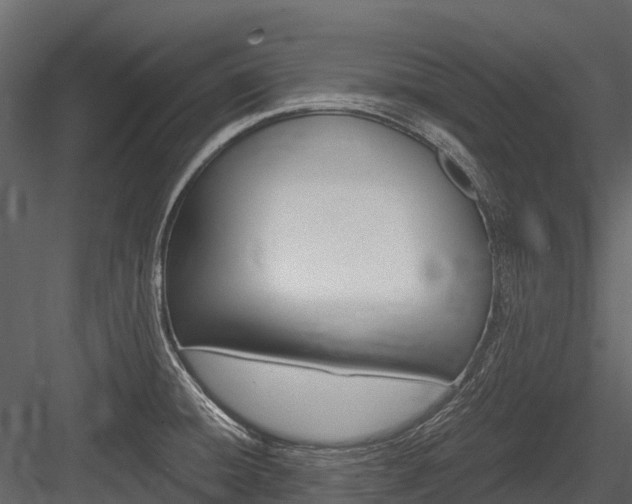 X0000084551428200702230923