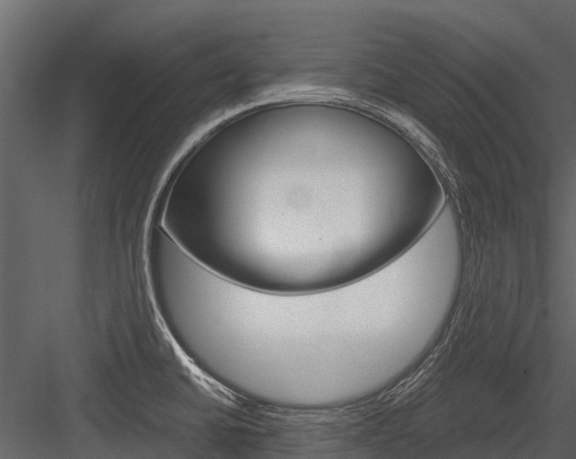X0000084551430200702230923