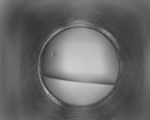 X0000084551431200702230923