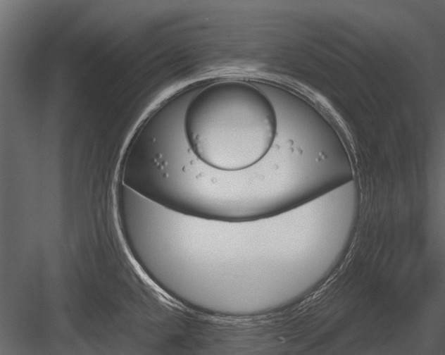 X0000084551432200702230923