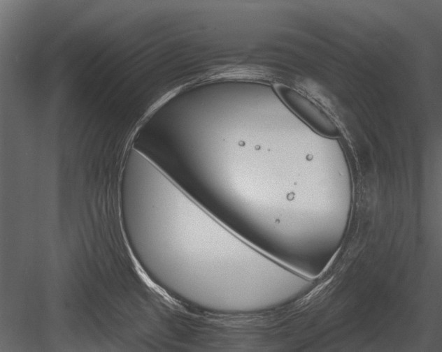 X0000084551433200702230923