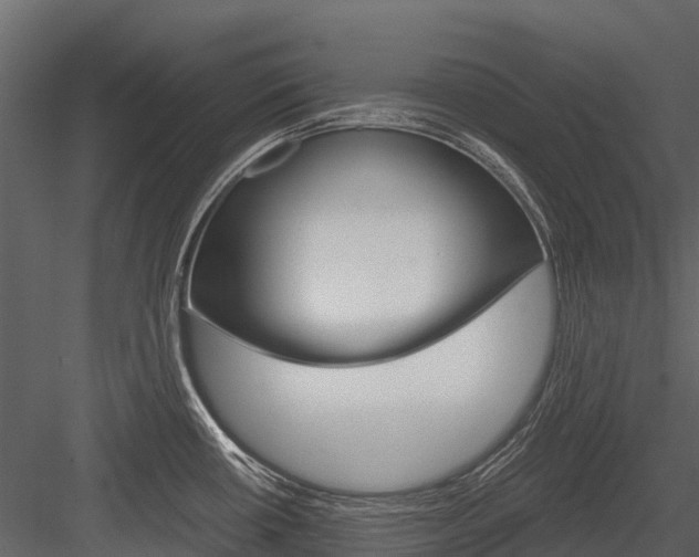 X0000084551434200702230923