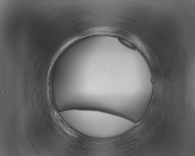 X0000084551435200702230923