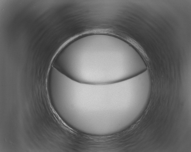 X0000084551436200702230923