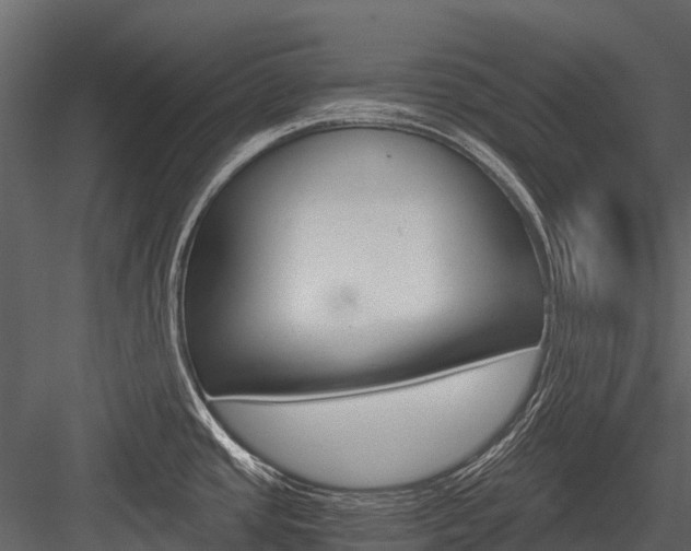 X0000084551437200702230923