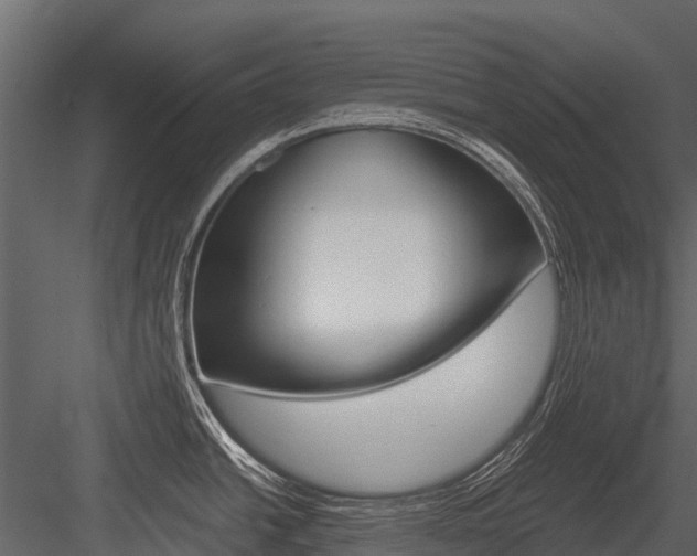 X0000084551438200702230923