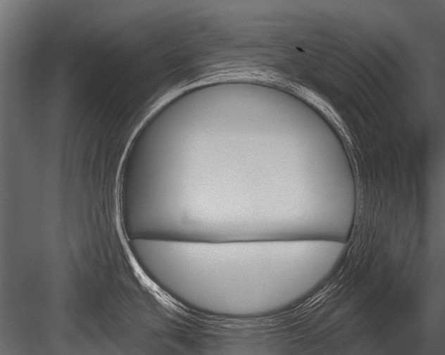 X0000084551439200702230923