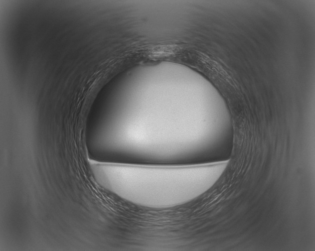 X0000084551441200702230922