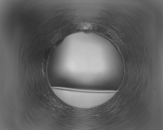 X0000084551442200702230922