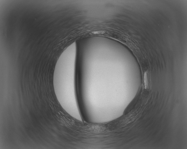 X0000084551443200702230922