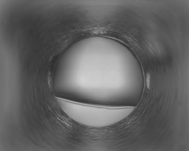 X0000084551444200702230922
