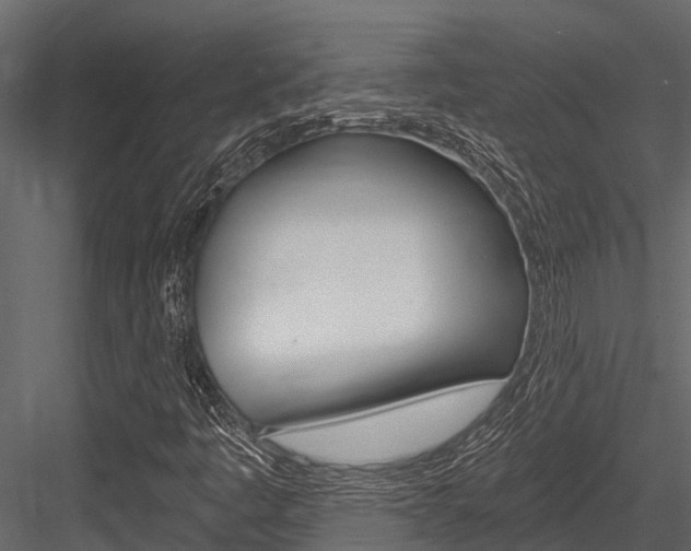 X0000084551445200702230922