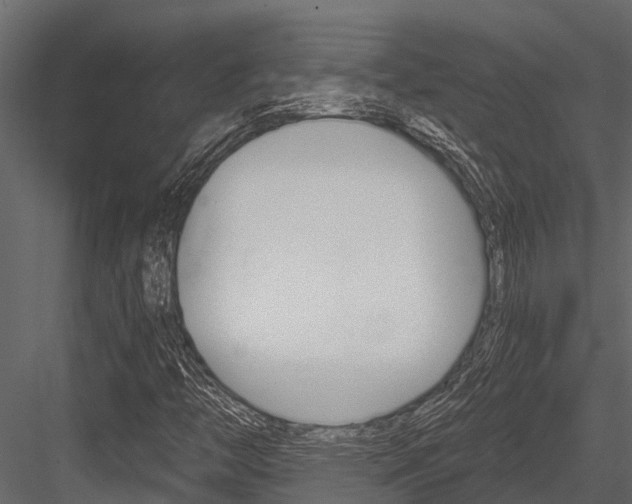 X0000084551446200702230922