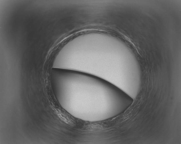 X0000084551448200702230922