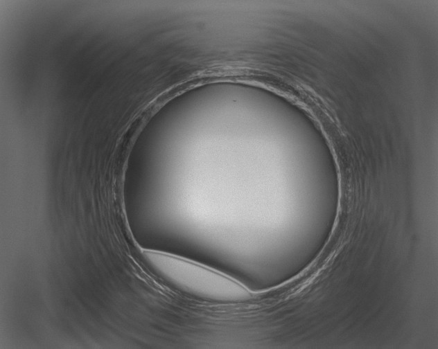 X0000084551449200702230922