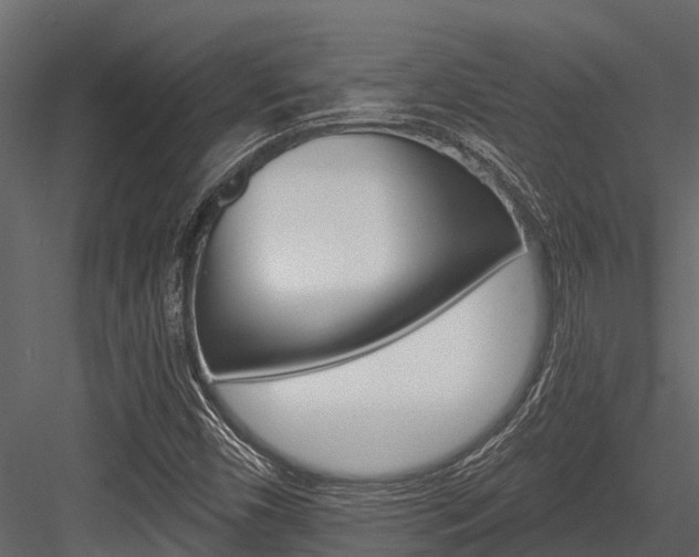 X0000084551450200702230922