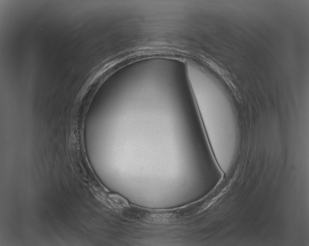 X0000084551453200702230922