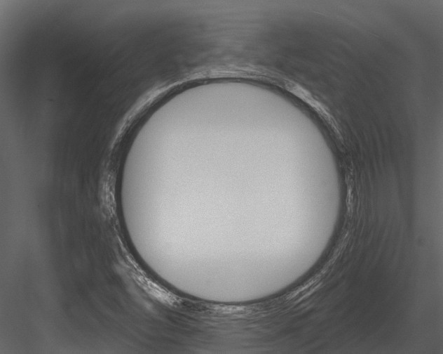 X0000084551454200702230922