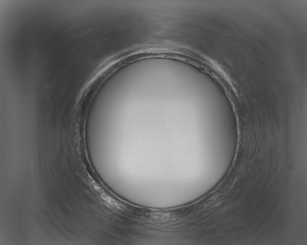 X0000084551456200702230922