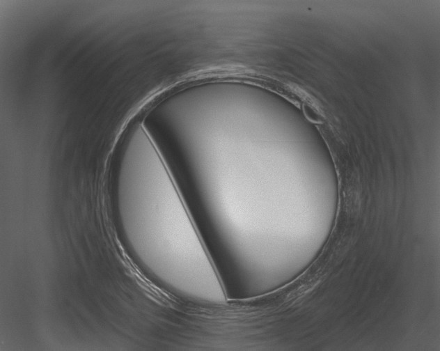 X0000084551458200702230922