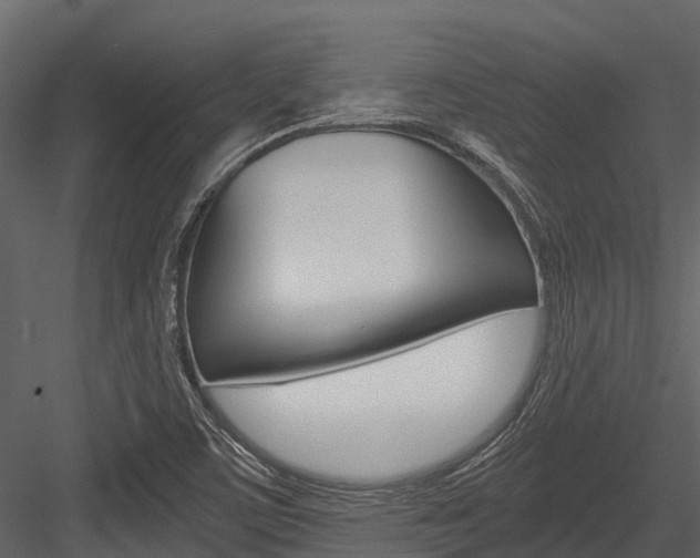 X0000084551459200702230922
