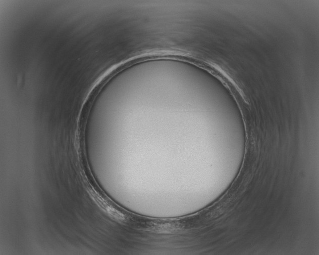 X0000084551460200702230922