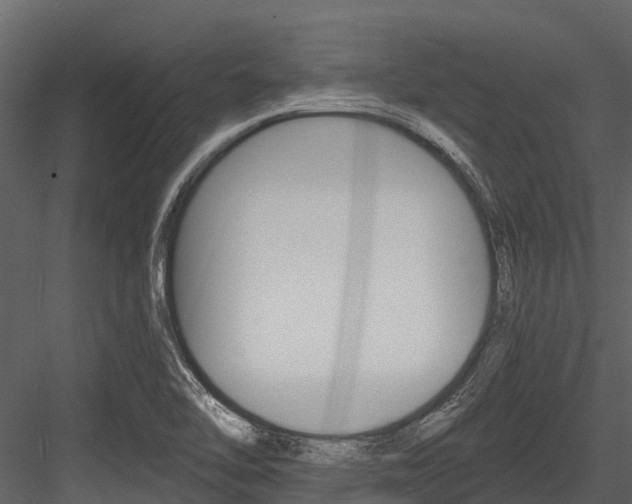 X0000084551462200702230922