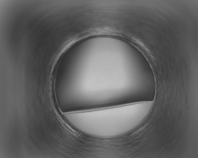 X0000084551463200702230922