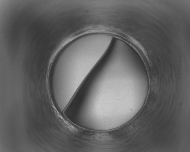 X0000084551464200702230922
