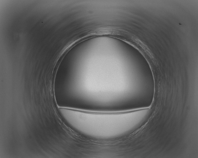 X0000084551465200702230922