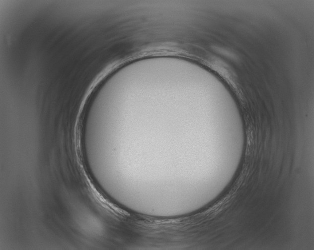 X0000084551466200702230922