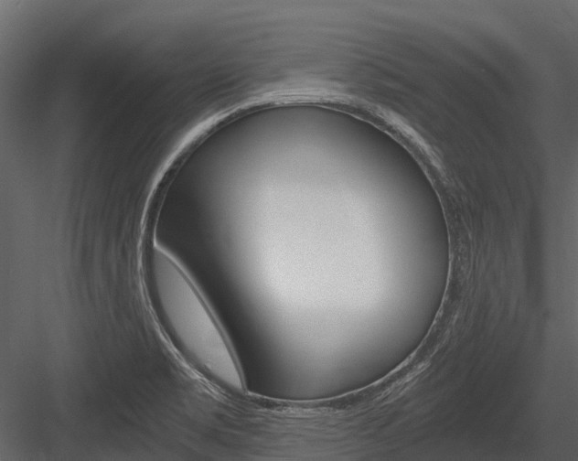 X0000084551469200702230922
