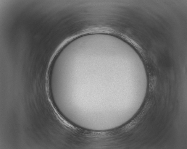 X0000084551470200702230922